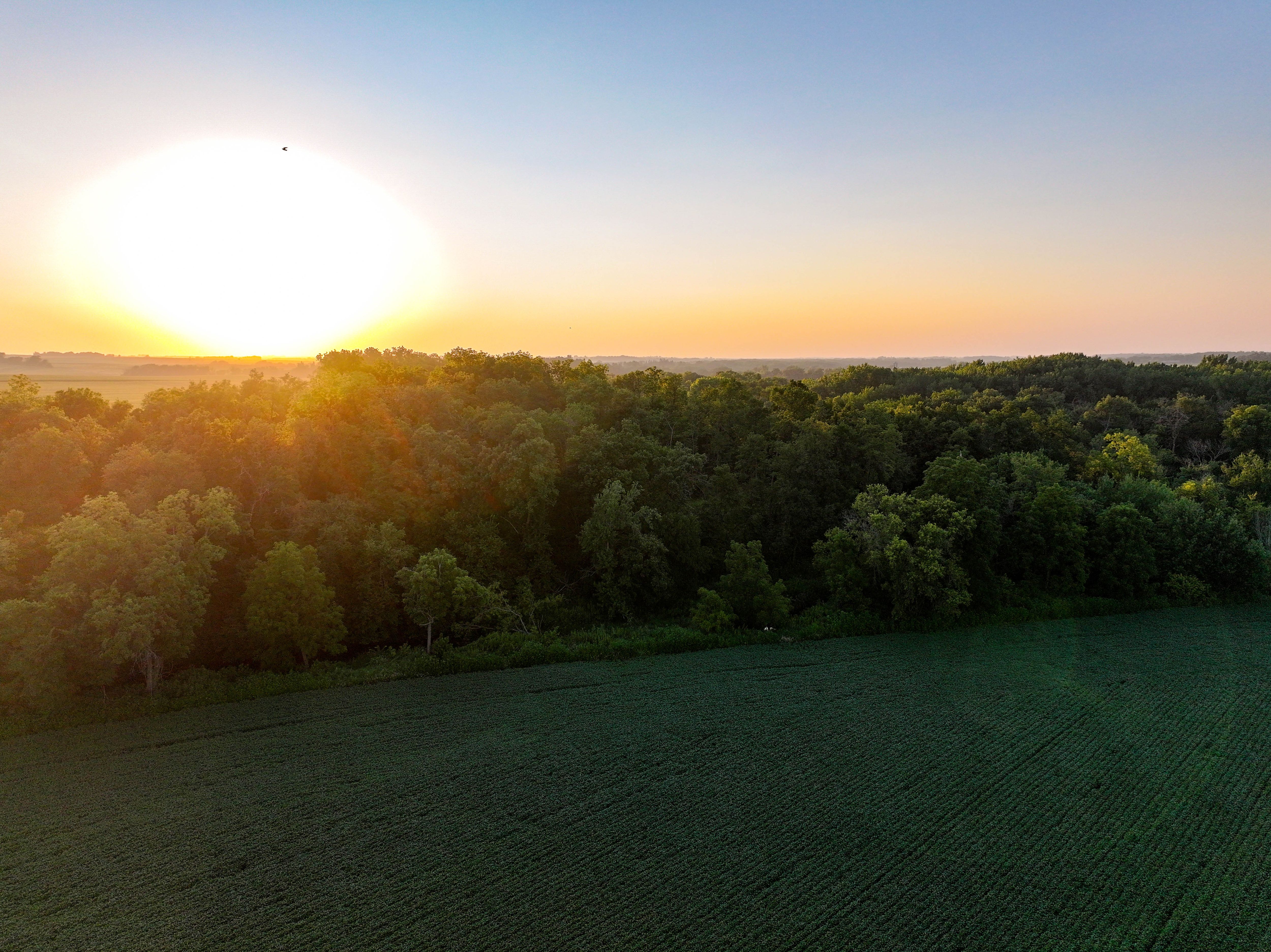 Listing Photo: 11_Fayette County IA Land For Sale